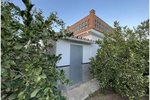 Landejendom i Alora, Malaga, Alora - € 395.000 | Ref: EXP15053/8930 - foto 14