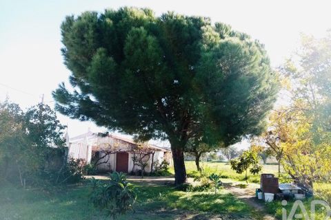 Terra a Vidigueira, Beja, Vidigueira - € 255.000 | Ref: 946626 - foto 2