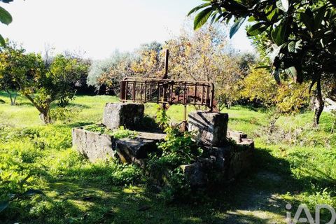 Terra a Vidigueira, Beja, Vidigueira - € 255.000 | Ref: 946626 - foto 3