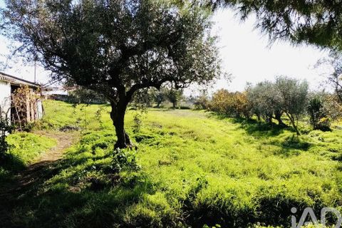 Terra a Vidigueira, Beja, Vidigueira - € 255.000 | Ref: 946626 - foto 4