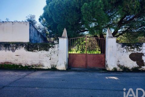 Terra a Vidigueira, Beja, Vidigueira - € 255.000 | Ref: 946626 - foto 6