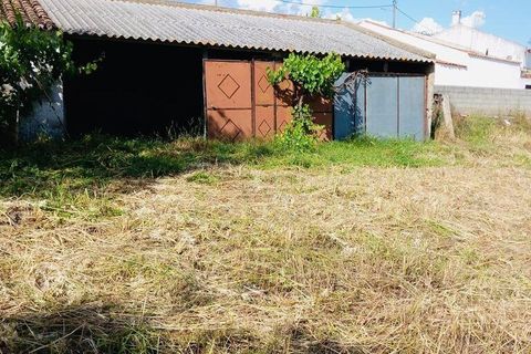 Terra a Vidigueira, Beja, Vidigueira - € 255.000 | Ref: 946626 - foto 7