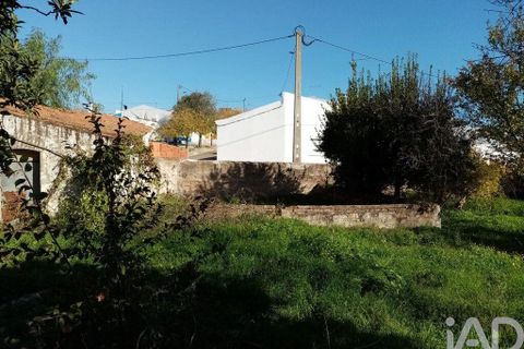 Terra a Vidigueira, Beja, Vidigueira - € 255.000 | Ref: 946626 - foto 8