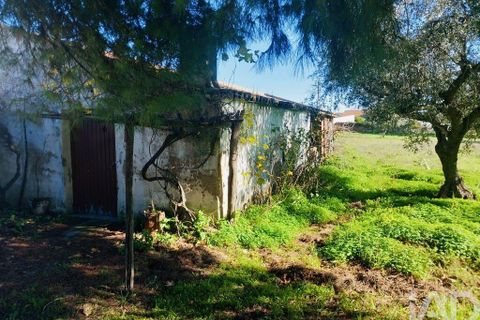 Terra a Vidigueira, Beja, Vidigueira - € 255.000 | Ref: 946626 - foto 9