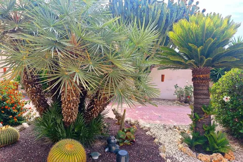 Villa i Ciudad Quesada, Alicante, Ciudad Quesada - € 590.000 | Ref: SPSCX792 - foto 22
