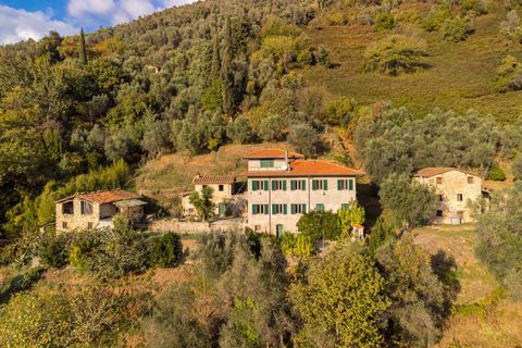 Landejendom i Camaiore, Lucca, Camaiore - € 395.000 | Ref: CBI129-1110-130653 - foto 4