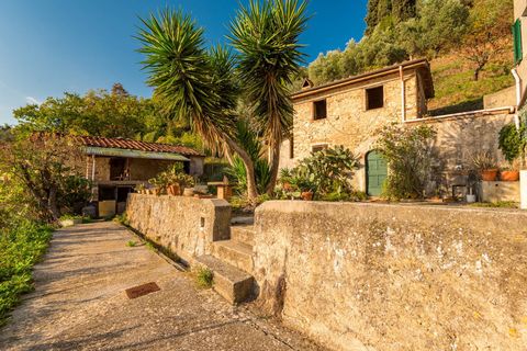 Landejendom i Camaiore, Lucca, Camaiore - € 395.000 | Ref: CBI129-1110-130653 - foto 32