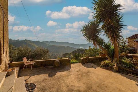 Landejendom i Camaiore, Lucca, Camaiore - € 395.000 | Ref: CBI129-1110-130653 - foto 33