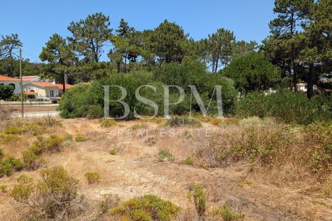 Helårsgrund i Vau, Leiria, Vau - € 215.000 | Ref: BSPM_519 - foto 10