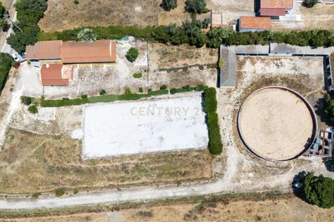 Farm hus i Benavente, Santarem, Benavente - € 1.100.000 | Ref: C0440-01018 - foto 1