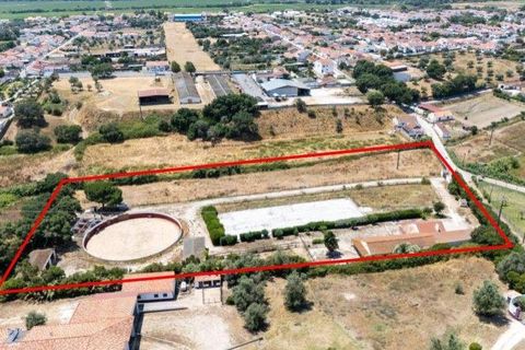 Farm hus i Benavente, Santarem, Benavente - € 1.100.000 | Ref: C0440-01018 - foto 3