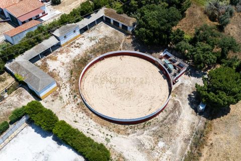 Farm hus i Benavente, Santarem, Benavente - € 1.100.000 | Ref: C0440-01018 - foto 4