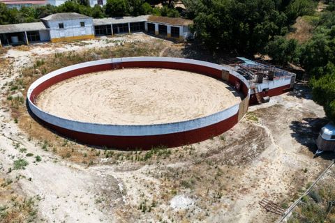 Farm hus i Benavente, Santarem, Benavente - € 1.100.000 | Ref: C0440-01018 - foto 5
