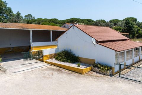 Farm hus i Benavente, Santarem, Benavente - € 1.100.000 | Ref: C0440-01018 - foto 9