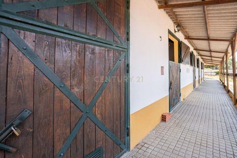 Farm hus i Benavente, Santarem, Benavente - € 1.100.000 | Ref: C0440-01018 - foto 13
