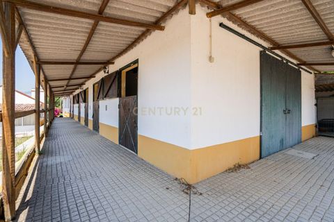 Farm hus i Benavente, Santarem, Benavente - € 1.100.000 | Ref: C0440-01018 - foto 15