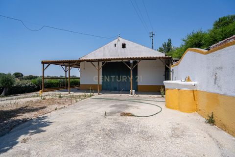 Farm hus i Benavente, Santarem, Benavente - € 1.100.000 | Ref: C0440-01018 - foto 16