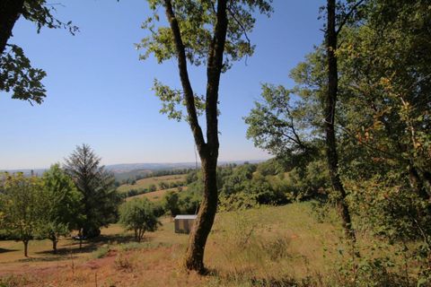 Herregård i Najac, Aveyron, Najac - € 134 000 | Ref: 3218 - foto 3