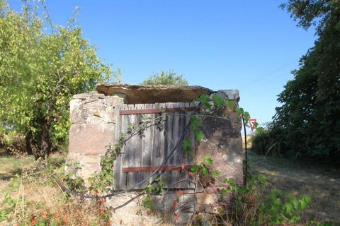 Herregård i Najac, Aveyron, Najac - € 134 000 | Ref: 3218 - foto 27