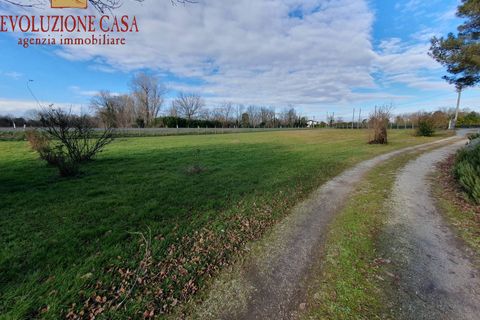 Tomt i Turriaco, Gorizia, Turriaco - € 27 000 | Ref: 1659 - foto 5