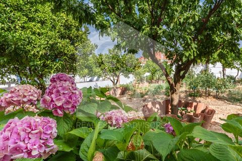 Villa i Sardoal, Santarem, Sardoal - € 650.000 | Ref: MOR_11287 - foto 47