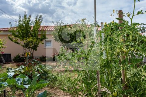 Villa i Sardoal, Santarem, Sardoal - € 650.000 | Ref: MOR_11287 - foto 48