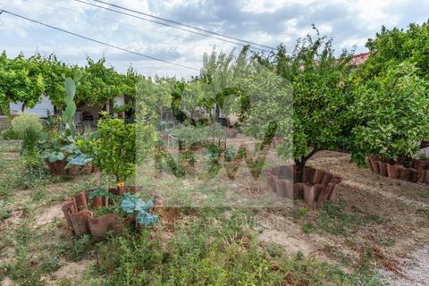 Villa i Sardoal, Santarem, Sardoal - € 650.000 | Ref: MOR_11287 - foto 49