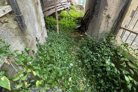 Landejendom i Casanova Lerrone, Savona, Casanova Lerrone - € 65.000 | Ref: 1059 - foto 32