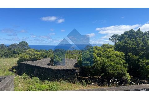 Villa i Santa luzia, Pico, Santa luzia - € 350.000 | Ref: AZO1-0287 - foto 6