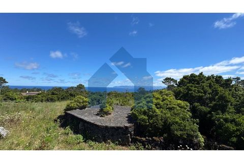 Villa i Santa luzia, Pico, Santa luzia - € 350.000 | Ref: AZO1-0287 - foto 7