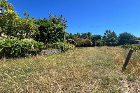 Tomt i Terras de Bouro, Braga, Terras de Bouro - € 17 500 | Ref: ONE141548-41 - foto 4