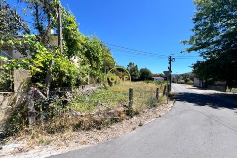 Tomt i Terras de Bouro, Braga, Terras de Bouro - € 17 500 | Ref: ONE141548-41 - foto 5