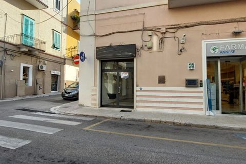 Apartament a Monopoli, Bari, Monopoli - € 950/mes | Ref: 37271001-1840 - foto 4
