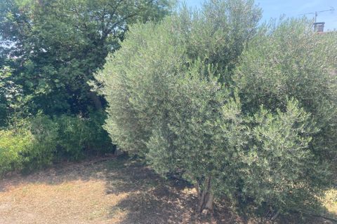 Landejendom i Cépie, Aude, Cépie - € 186.000 | Ref: 9408 - foto 18