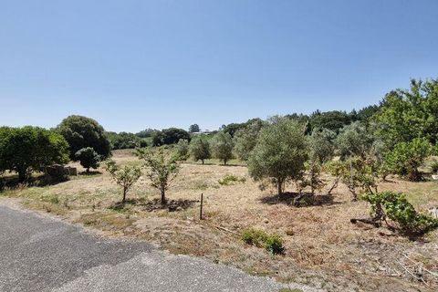 Helårsgrund i Azambuja, Lisbon, Azambuja - € 76.150 | Ref: 145820 - foto 4