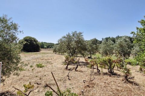 Helårsgrund i Azambuja, Lisbon, Azambuja - € 76.150 | Ref: 145820 - foto 6