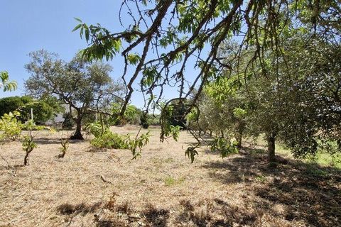 Helårsgrund i Azambuja, Lisbon, Azambuja - € 76.150 | Ref: 145820 - foto 7