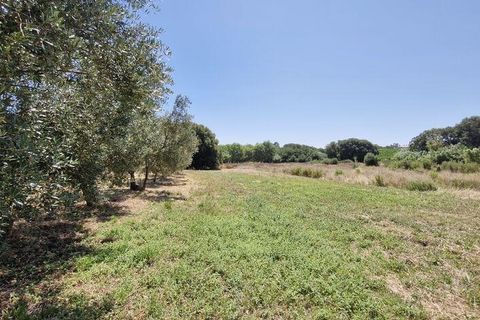 Helårsgrund i Azambuja, Lisbon, Azambuja - € 76.150 | Ref: 145820 - foto 8