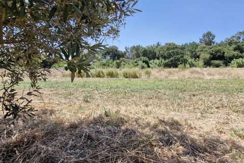 Helårsgrund i Azambuja, Lisbon, Azambuja - € 76.150 | Ref: 145820 - foto 10