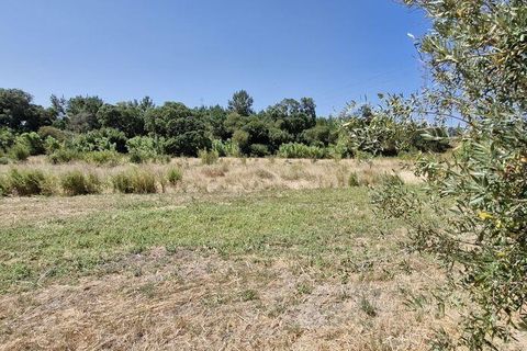 Helårsgrund i Azambuja, Lisbon, Azambuja - € 76.150 | Ref: 145820 - foto 12