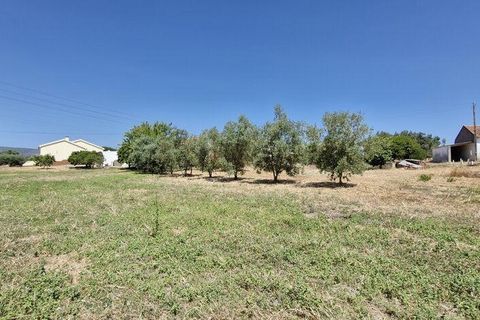 Helårsgrund i Azambuja, Lisbon, Azambuja - € 76.150 | Ref: 145820 - foto 13