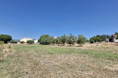 Helårsgrund i Azambuja, Lisbon, Azambuja - € 76.150 | Ref: 145820 - foto 14
