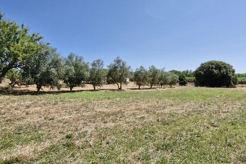 Helårsgrund i Azambuja, Lisbon, Azambuja - € 76.150 | Ref: 145820 - foto 16