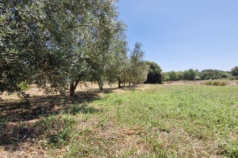 Helårsgrund i Azambuja, Lisbon, Azambuja - € 76.150 | Ref: 145820 - foto 17