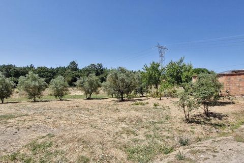 Helårsgrund i Azambuja, Lisbon, Azambuja - € 76.150 | Ref: 145820 - foto 19