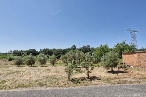 Helårsgrund i Azambuja, Lisbon, Azambuja - € 76.150 | Ref: 145820 - foto 20