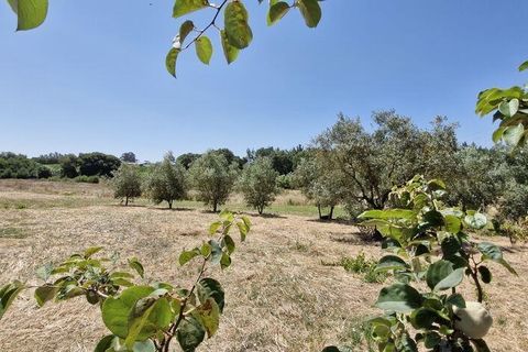 Helårsgrund i Azambuja, Lisbon, Azambuja - € 76.150 | Ref: 145820 - foto 21