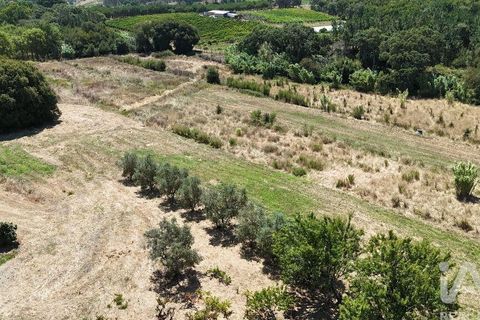 Helårsgrund i Azambuja, Lisbon, Azambuja - € 76.150 | Ref: 145820 - foto 22