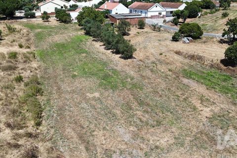 Helårsgrund i Azambuja, Lisbon, Azambuja - € 76.150 | Ref: 145820 - foto 24