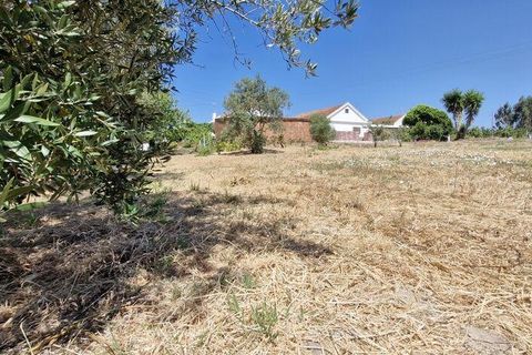 Helårsgrund i Azambuja, Lisbon, Azambuja - € 76.150 | Ref: 145820 - foto 29